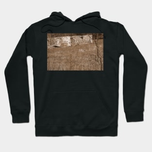 Old Barn Roots Hoodie